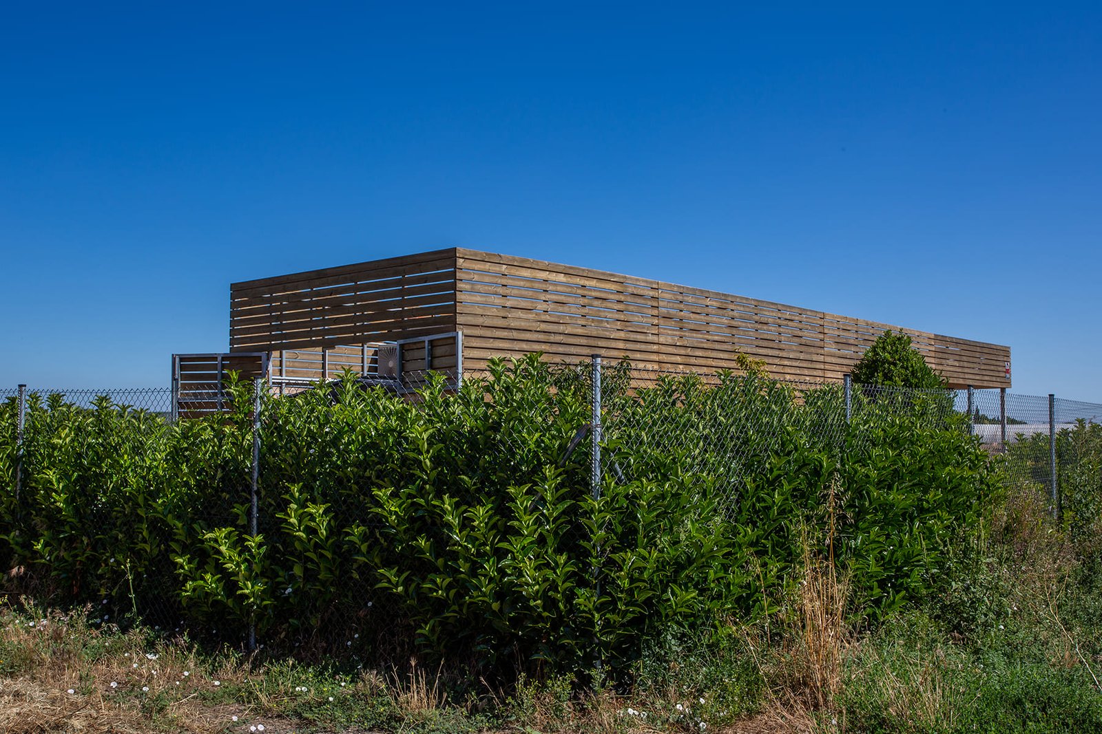Huerta003-
