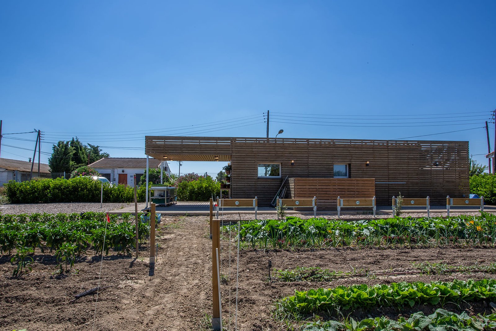 Huerta013-