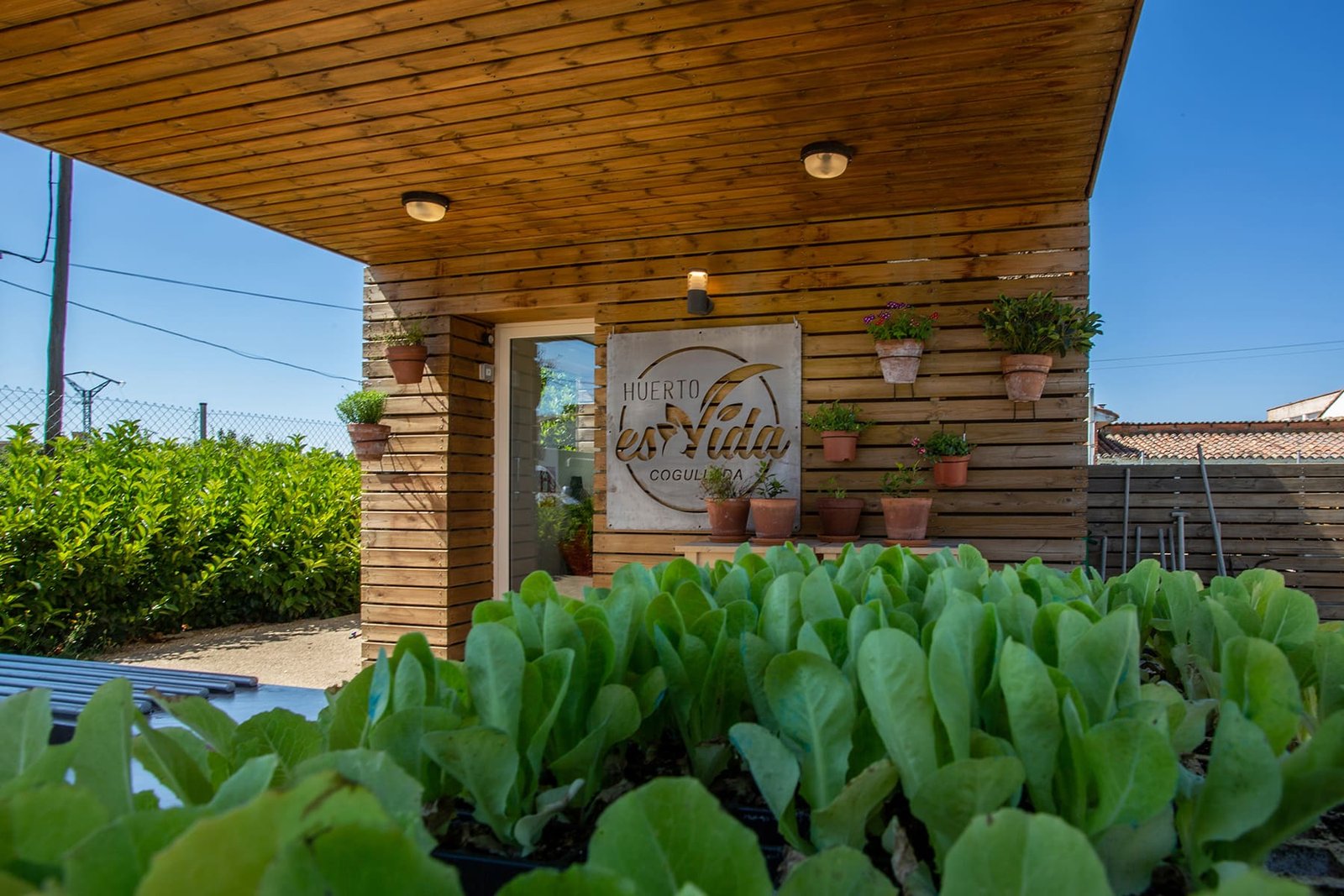 Huerta022-