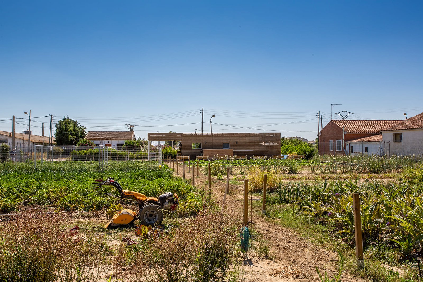 Huerta035-