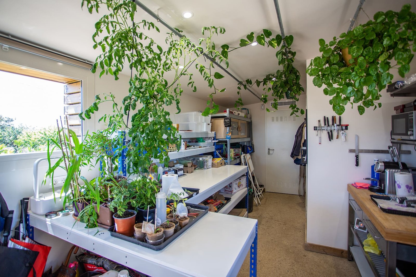 Huerta036-